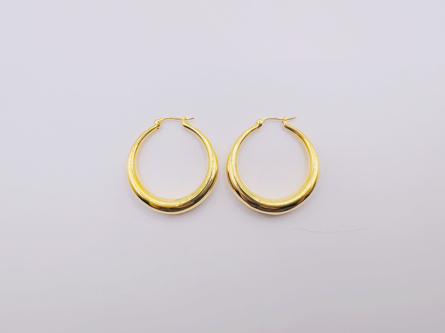 18K Gold Polished Huggie Earrings (Large)