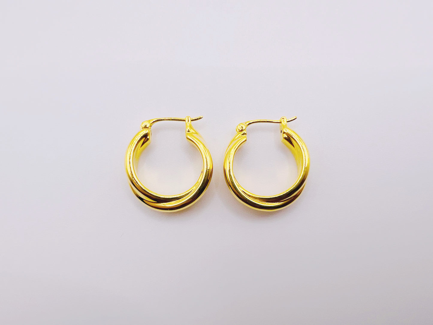 18K Gold - Fine Rope Twist Huggie Earrings