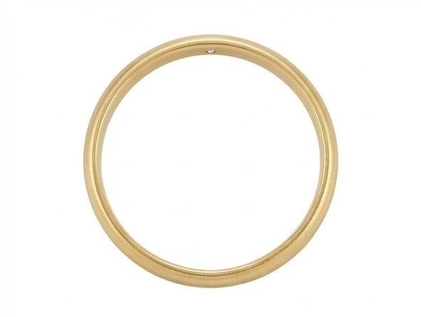 【ZLBR010】Ancient Loach-Back Gold-Clad Silver Bangle