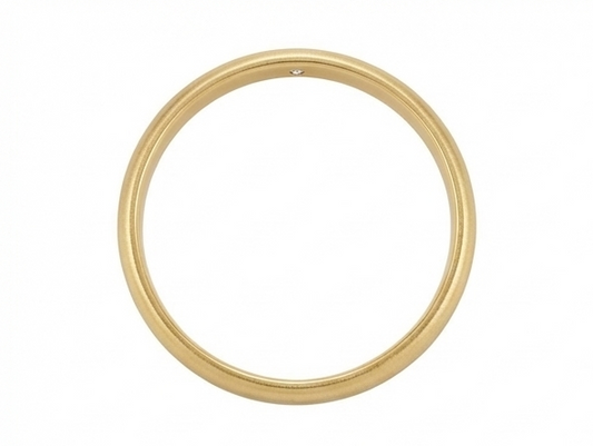【ZLBR010】Ancient Loach-Back Gold-Clad Silver Bangle