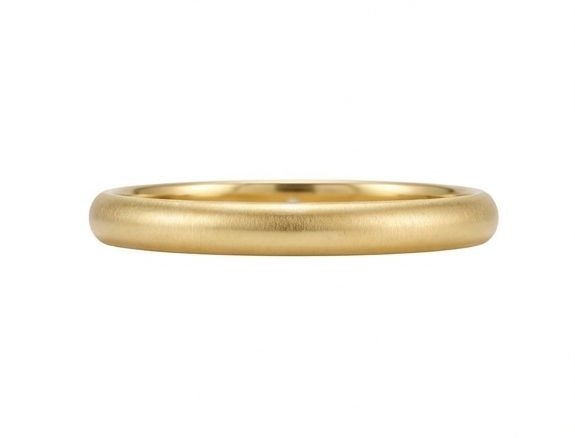 【ZLBR010】Ancient Loach-Back Gold-Clad Silver Bangle